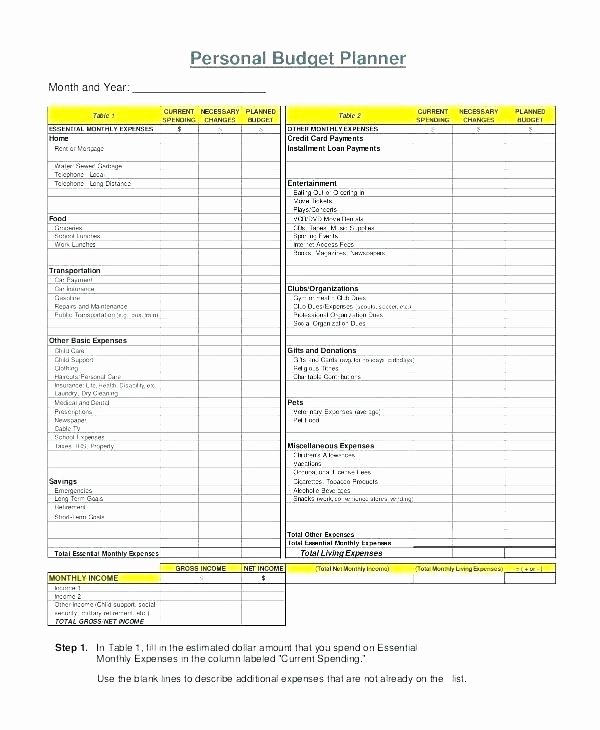 5 Year Budget Plan Template Elegant Using A Cash Flow Projection Template for Your Bud