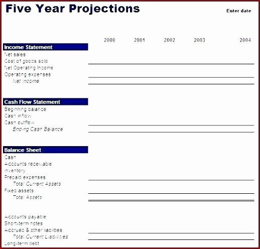 5 Year Budget Plan Template New Business Plan Template Financial Pro Year Bud