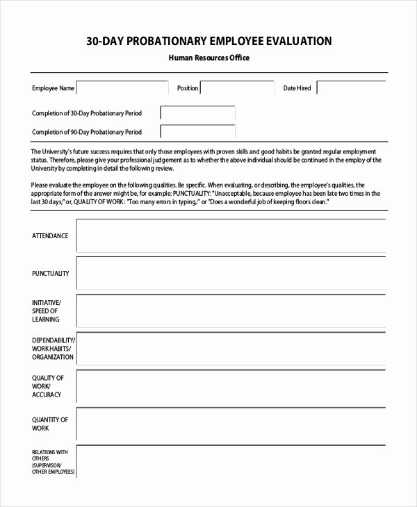 90 Day Employee Review Template New 90 Day Probationary Period Template