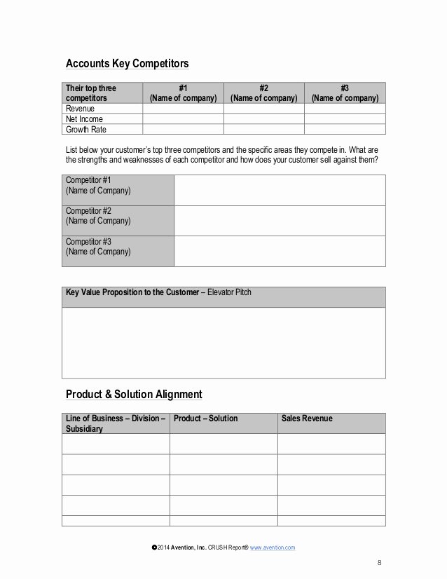 Account Management Plan Template Lovely Strategic Account Plan Template