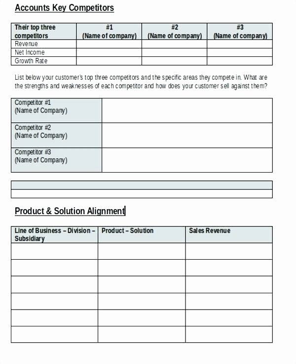 Account Management Plan Template New Key Account Management Template Excel – Vitaesalute