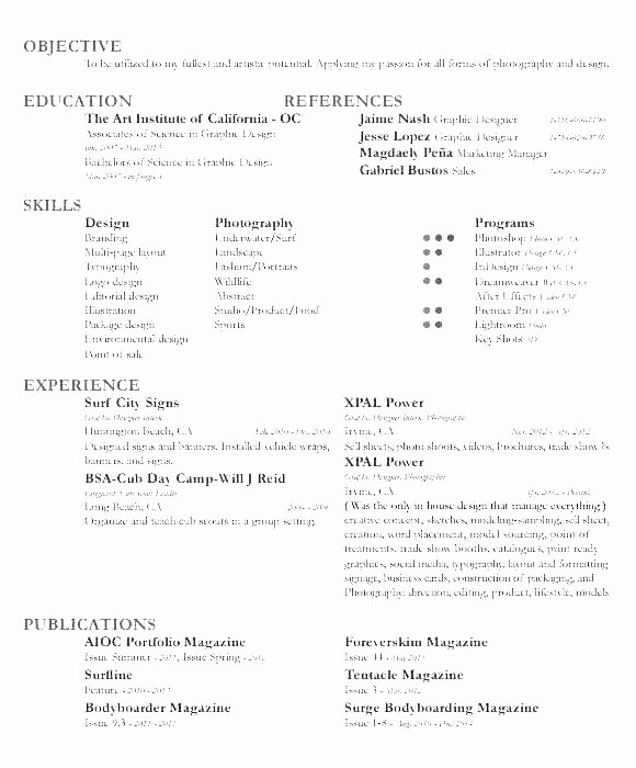Airline Pilot Resume Template Best Of Colorful Professional Pilot Resume Gift Wordpress themes