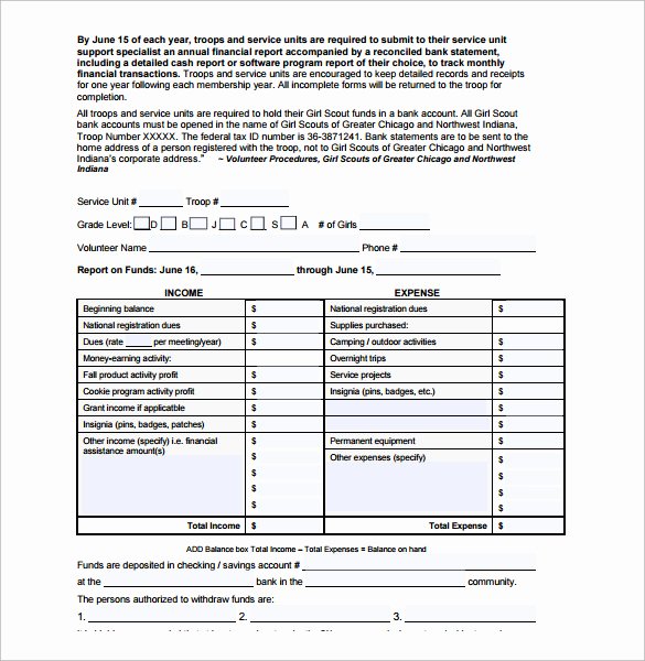 Annual Financial Report Template Best Of 11 Financial Report Templates