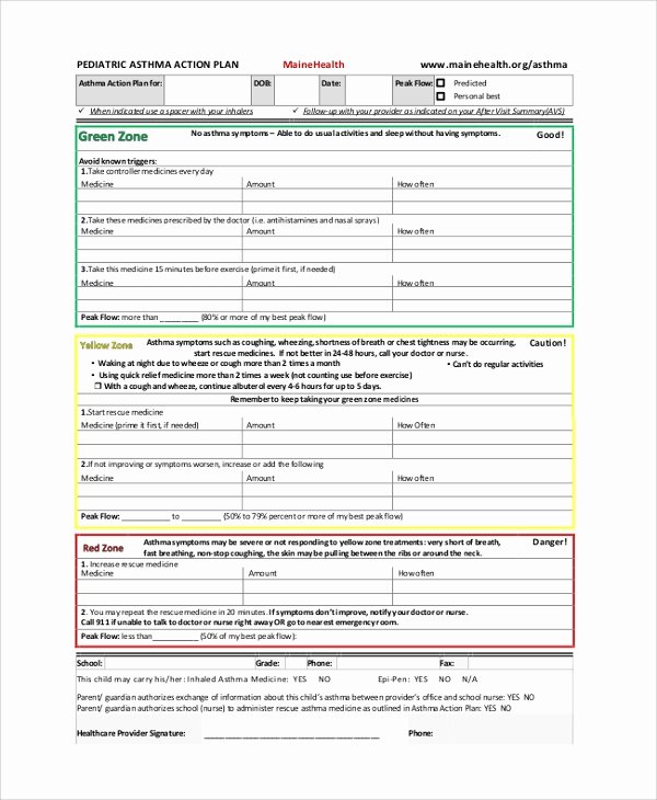 Asthma Action Plan Template Beautiful 46 Sample Action Plans