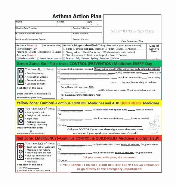 Asthma Action Plan Template Fresh Health Management Plan Template asthma Home Management