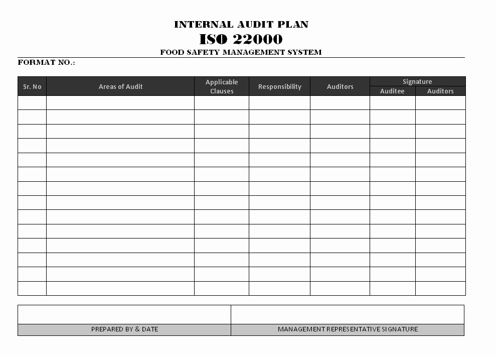 Audit Report Template Excel New Audit Plan Template Excel