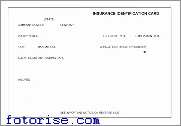 Auto Insurance Card Template Pdf Lovely Illinois Fake Insurance Card – Fill Line Printable