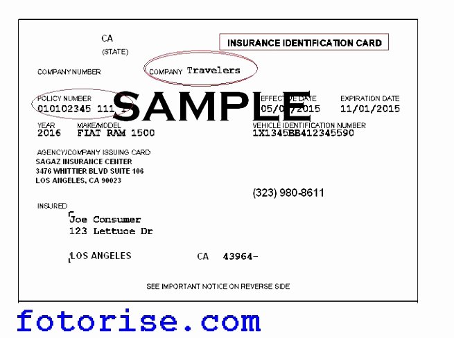 Auto Insurance Card Template Pdf Unique 6 Insurance Id Card Template Pwtto