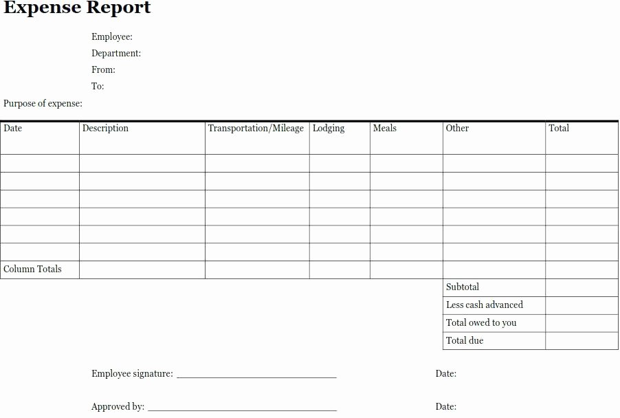 Basic Expense Report Template Elegant Daily In E and Expense Excel Sheet Personal Expenses