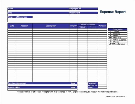 F118 Basic Expense Report