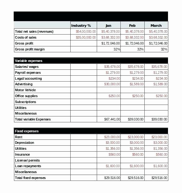 Basic Income Statement Template Awesome Excel In E Statement Template Monthly In E Statement