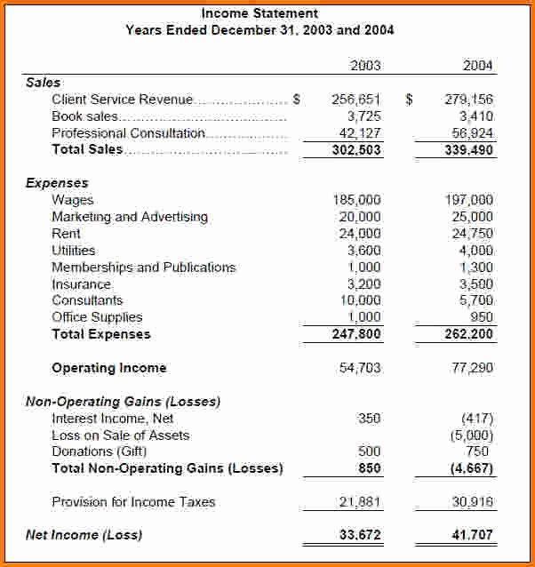 Basic Income Statement Template Best Of 13 Basic In E Statement