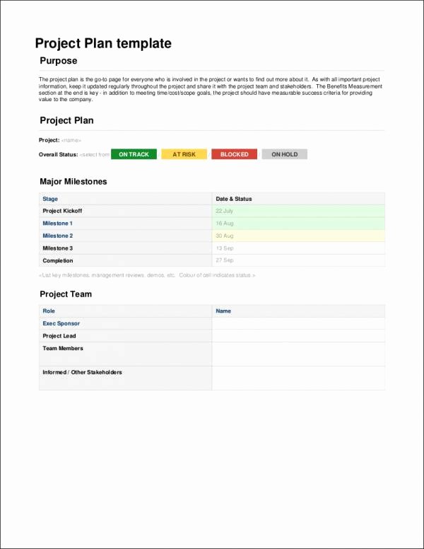 Basic Project Plan Template Beautiful 10 Project Planner Samples &amp; Templates