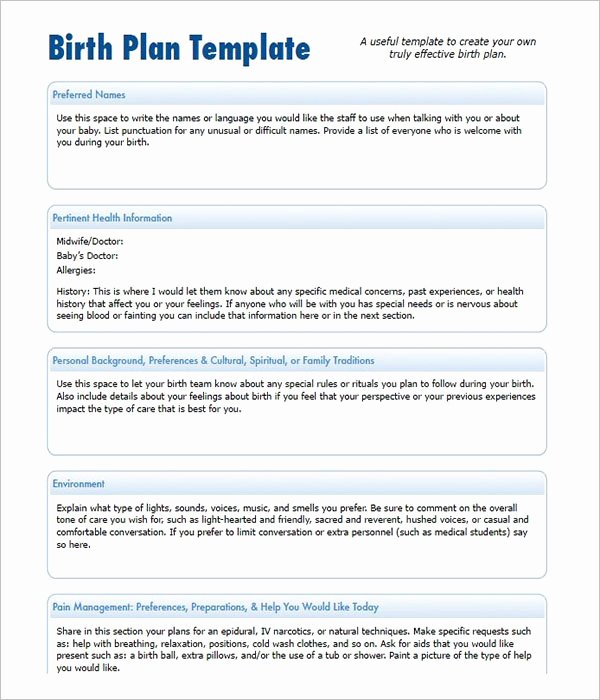 Birth Plan Template Pdf Awesome 50 Free Birth Plan Templates Word Pdf formats