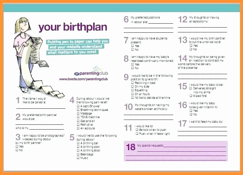 Birth Plan Template Pdf Awesome Birth Plan Samples Best About Building Sample