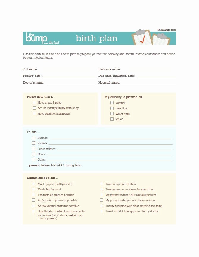 Birth Plan Template Pdf Best Of 47 Printable Birth Plan Templates [birth Plan Checklist