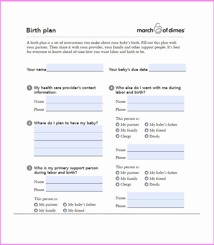 Birth Plan Template Pdf Best Of Birth Plan Templates