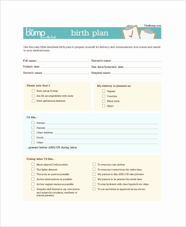 Birth Plan Template Pdf Inspirational 10 Birth Plan Examples