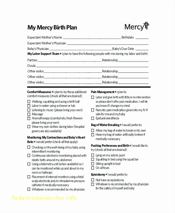 Birth Plan Template Pdf Luxury Baby Birth Plan Template Excellent Pool Contemporary Date