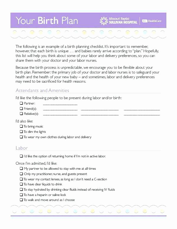 Birth Plan Template Word Document Awesome 96 Birth Plan Template Word Document Birth Plan
