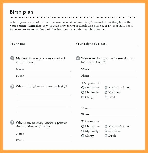 Birth Plan Template Word Document Awesome Birth Plan Templates