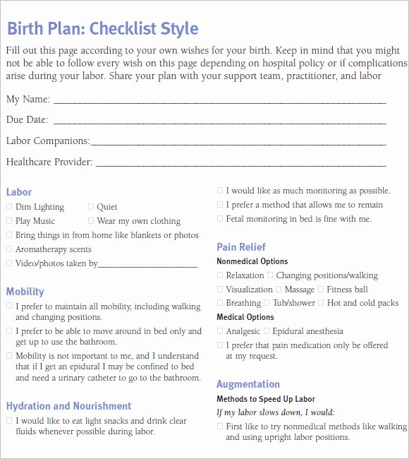 Birth Plan Template Word Document Elegant 9 Birth Plan Templates – Free Samples Examples &amp; format