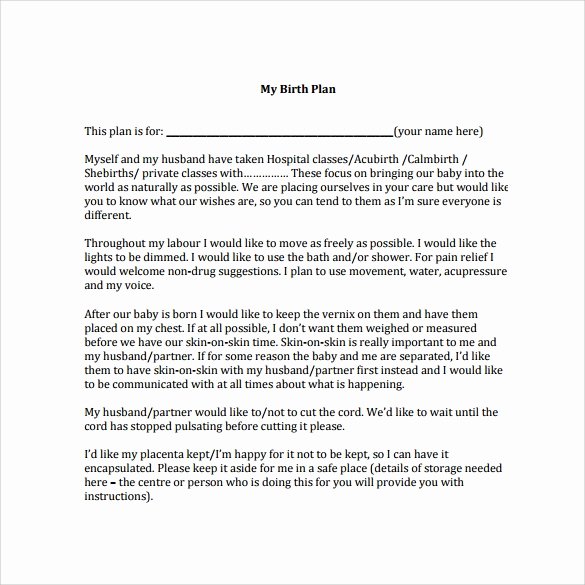 Birth Plan Template Word Document Inspirational 22 Sample Birth Plan Templates – Pdf Word Apple Pages