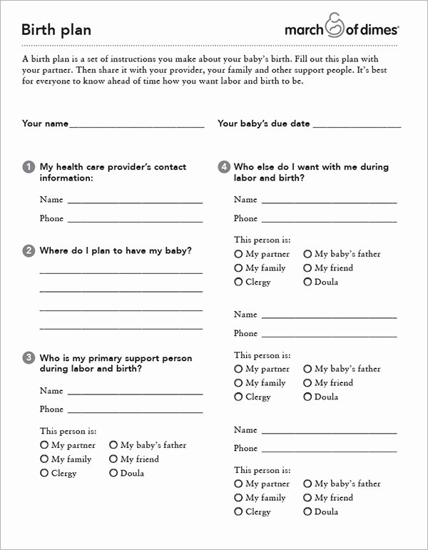 Birth Plan Template Word Document Inspirational 22 Sample Birth Plan Templates – Pdf Word Apple Pages