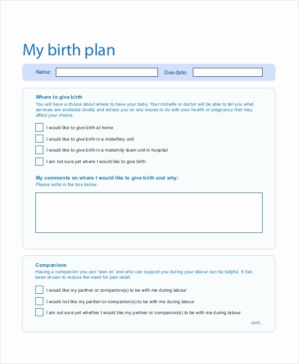 Birth Plan Template Word Document Lovely Birth Plan Template 9 Free Word Pdf Documents Download