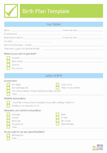 Birth Plan Template Word Document Lovely Birth Plan Template