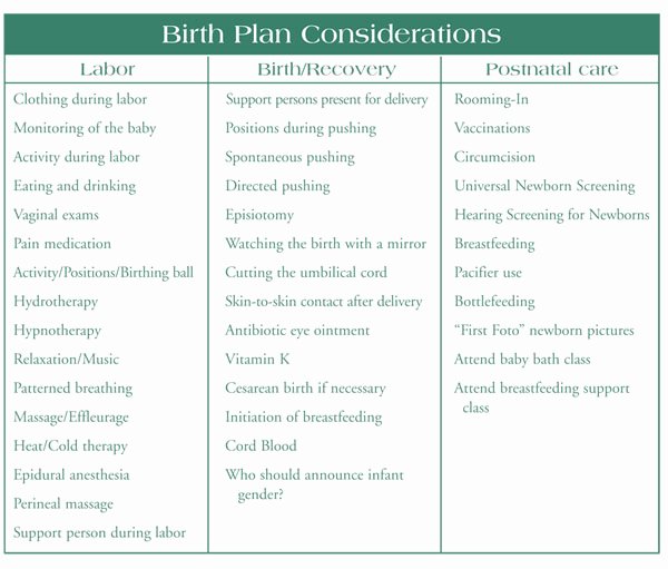 Birth Plan Template Word Document Unique 301 Moved Permanently