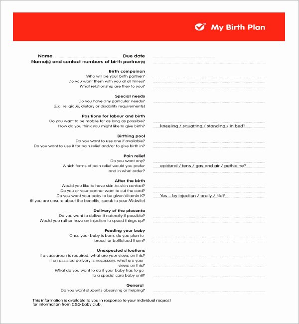 Birth Plan Template Word Document Unique Birth Plan Template 20 Download Free Documents In Pdf Word
