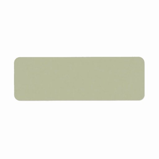 Blank Address Label Template Awesome Light Camouflage Green Color Trend Blank Template Return