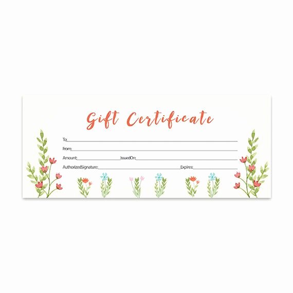 Blank Gift Card Template Best Of Best 25 Blank T Certificate Ideas On Pinterest