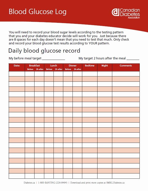 Blood Glucose Log Template Elegant 12 Free Sample Blood Sugar Log Templates Printable Samples