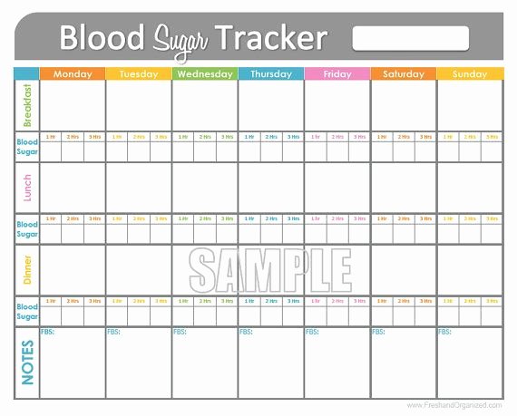 Blood Glucose Log Template Lovely Blood Sugar Log Template In Pdf format Excel Template