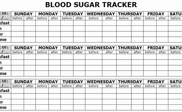 Blood Glucose Log Template Luxury Blood Sugar Log Template In Pdf format Excel Template