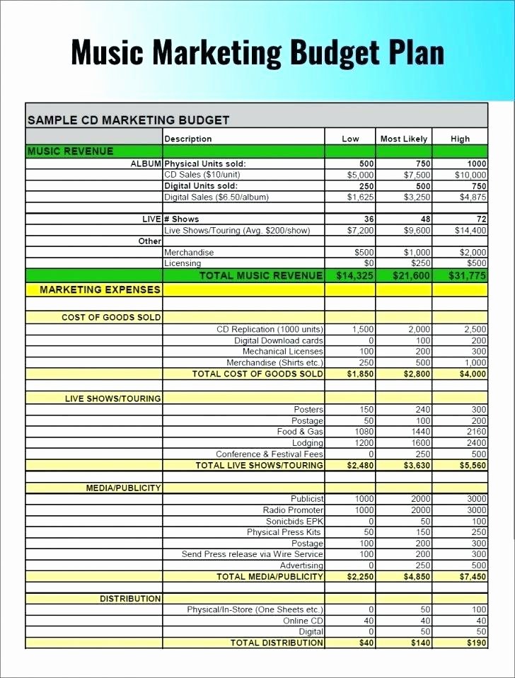Book Marketing Plan Template Best Of Book Marketing Plan Template Strategy Word Frank and