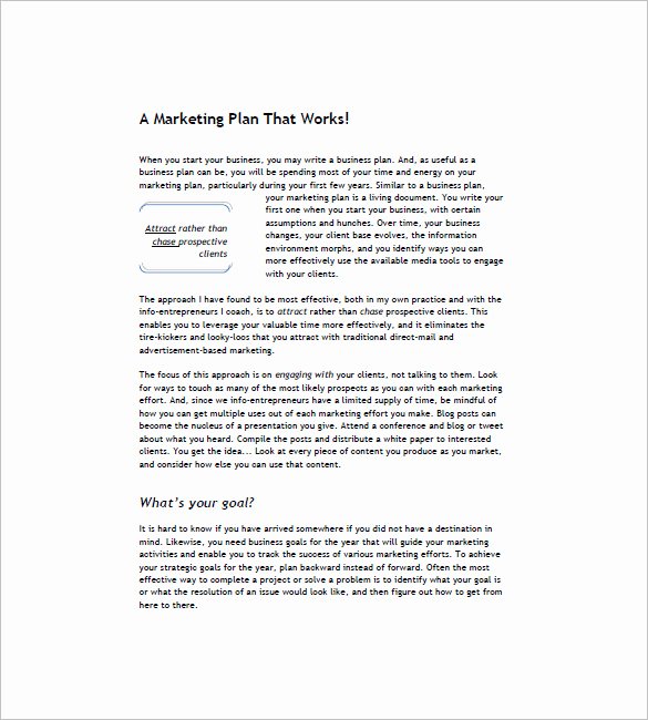 Book Marketing Plan Template Inspirational 7 Book Marketing Plan Template Free Sample Example