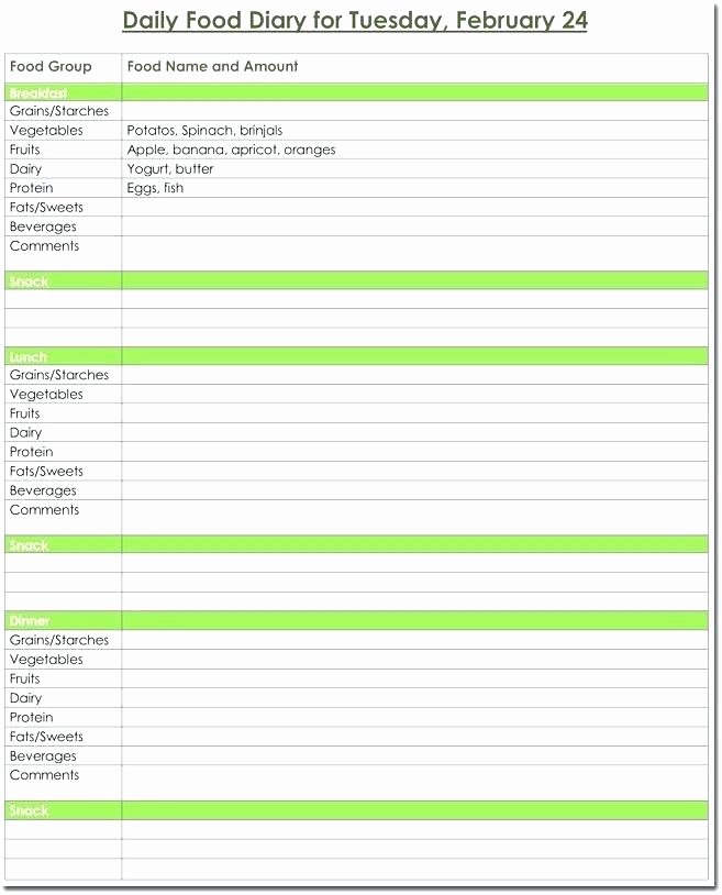 Bullet Journal Excel Template Luxury Fitness Journal Template Workout Logs Excel Printable