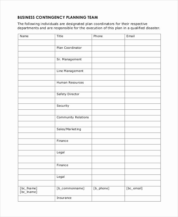 Business Contingency Plan Template Lovely 10 Business Plan Samples