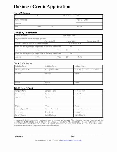 Business Credit Application Template Best Of 35 Best Work Teaching Applications Images On Pinterest