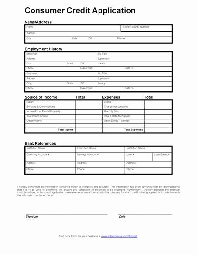 Business Credit Application Template Inspirational Consumer Credit Application form