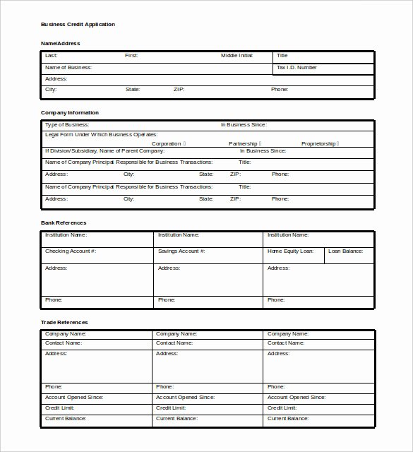 Business Credit Application Template Lovely 5 Credit Template Doc Pdf Eps