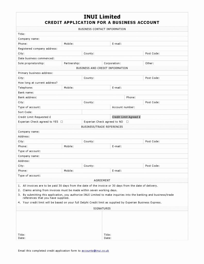 Business Credit Application Template Luxury Business Credit Application form