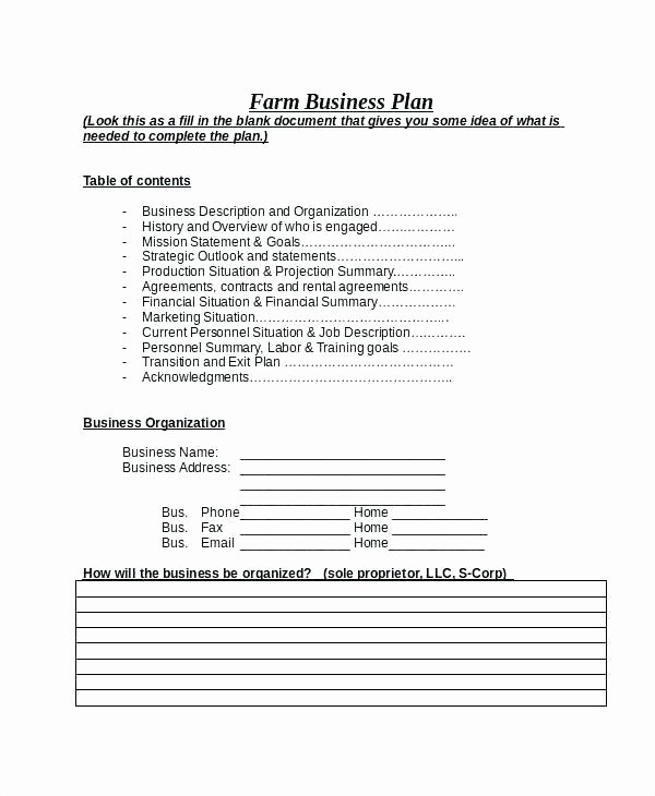 Business Exit Strategy Template Inspirational Business Exit Plan Template Strategy Samples