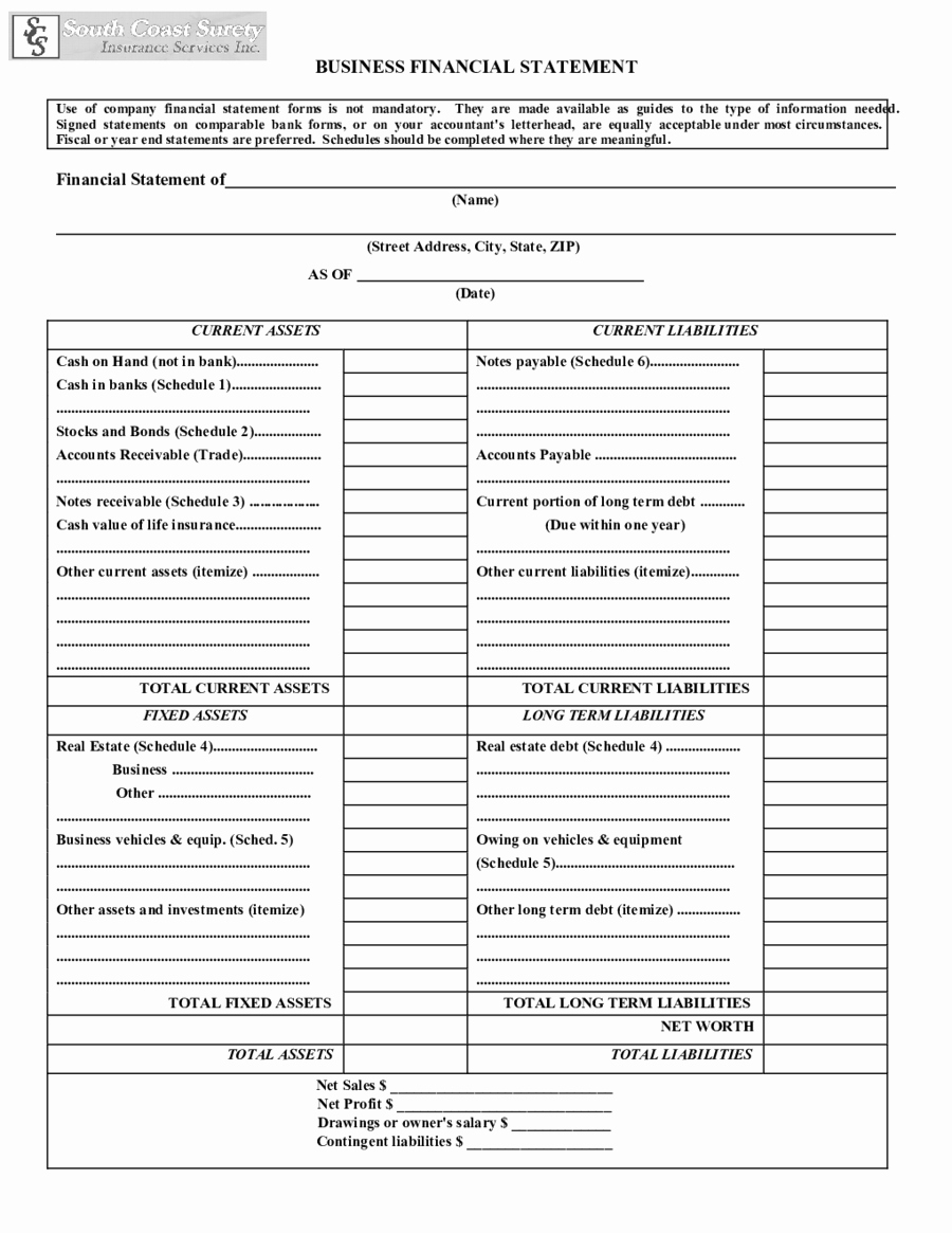 Business Income Statement Template Best Of Business Financial Statement form