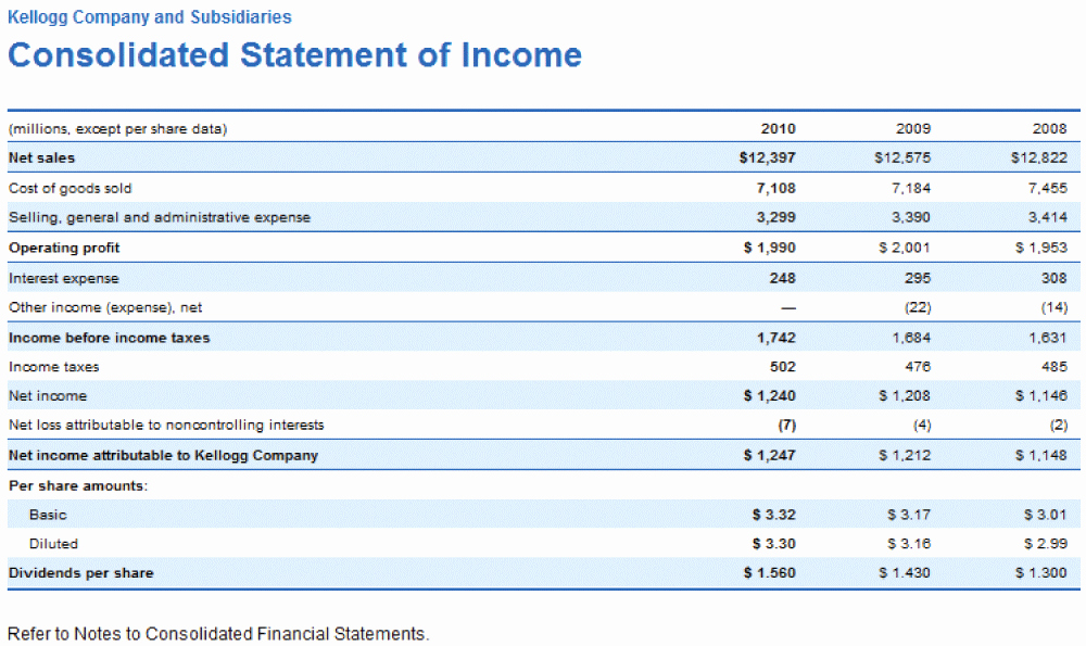 Business Income Statement Template Best Of Sample Financial Statement Small Business Sample In E