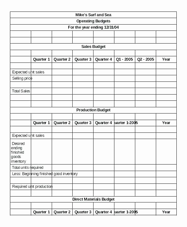 Business Income Statement Template Inspirational Pl Spreadsheet Template Quarterly In E Statement