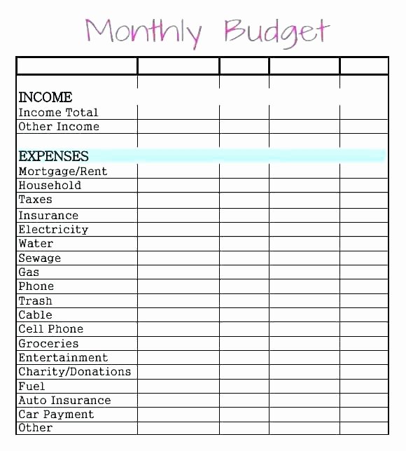 Business Monthly Budget Template Awesome Excel Spreadsheet Example Monthly Bud Template Expense
